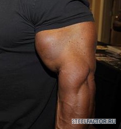 Synthol Butt