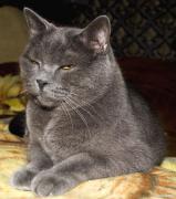 DSC_0008_новый_размер.JPG
