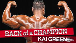 kai_back_mm_350.jpg