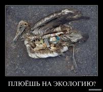 j6p4hpsjacj5.jpg