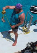 first_bahamas_shark_photos_402.jpg