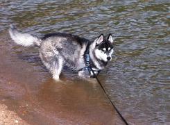 IMG_3098ss.jpg
