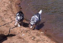 IMG_3100ss.jpg