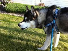 IMG_2786ss.jpg