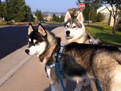 IMG_2785ss.jpg