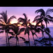 IMG_2297.JPG