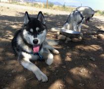 IMG_2882ss.jpg
