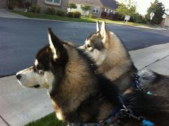 IMG_2790ss.jpg