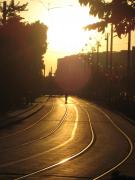 IMG_4372.JPG