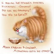 4ecc42c65688d.jpg
