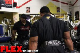 roelly-winklaar-2_0.jpg