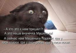 кися.jpg