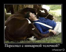 т.jpg