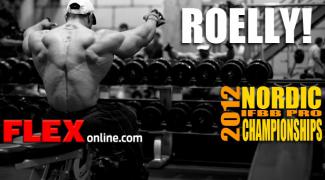 nordic-template-roelly.jpg