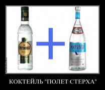 851wlhqlyavn.jpg
