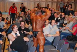 phoca_thumb_l_dsc_0849.jpg