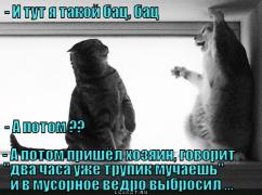 bats-bats_1339506958.jpg