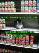 nado-polzovatsya-sprosom_1343911640.jpg
