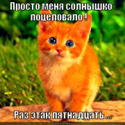 solnyshko-potselovalo_1347645433.jpg