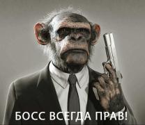 boos_pravv.jpg
