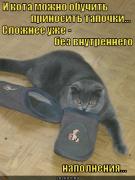 bez-vnutrennego-napolneniya_1321397109.jpg
