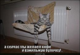 kofe-i-vanilnuyu-bulochku_1304020715.jpg