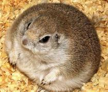 2012-09-25_173545.jpg