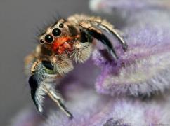 2012-09-28_103911.jpg