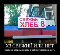 1327015551_026.jpg
