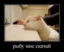 1328255999_032.jpg