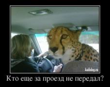 1338260971_040.jpg