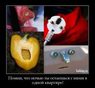 1343713229_047.jpeg