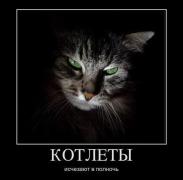 1330956246_0softportal.ucoz.ru-72.jpg