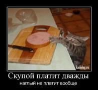 1311640934_007.jpg