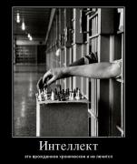 51743248_intellekt.jpg