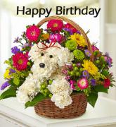 happy_birthay_message.jpg