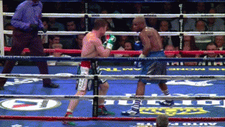 f95fb1d519.gif