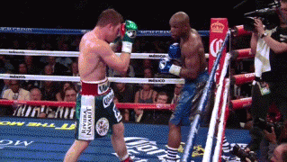 51b9665107.gif