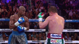e6eda4e932.gif