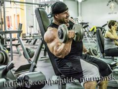 jay_cutler_golds_gym_workout_180.jpg