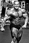 jay-cutler-ifbb-bodybuilder1.jpg