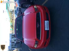 IMG_4051.JPG