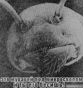 scyIwzaQ2Yg.jpg