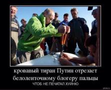 1731359_original.jpg