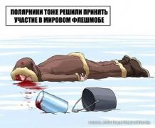 985fae9988a45f585d4eadcf057525d8.jpg