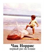 yumora-nemnogo-kartinki-smeshnye-kartinki-fotoprikoly_2810941913.jpeg