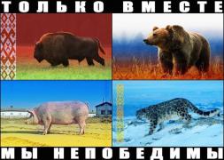 HpwGh2lPdLg.jpg