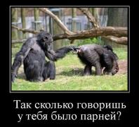 getImage (12).jpg