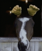 1410706974_88213f4e91a177b198d48940d637d234.gif