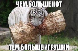 1411006099_1d1fc28a83db16036bcb3d18db315dd8.jpg